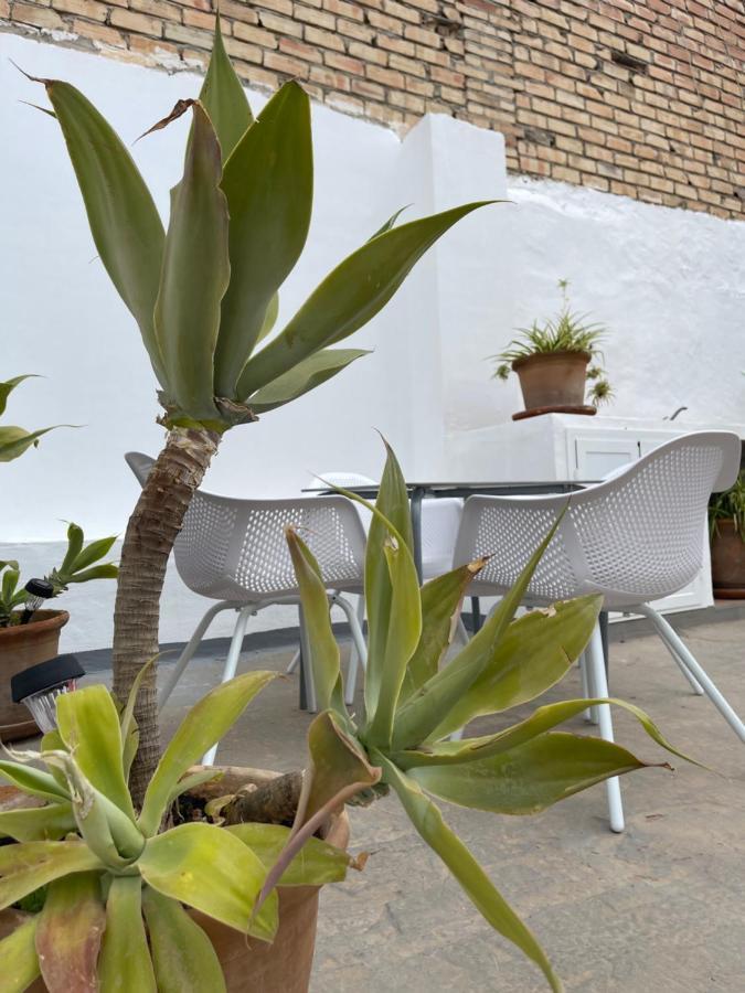 Carmela Apartment. Almuñécar Exteriér fotografie
